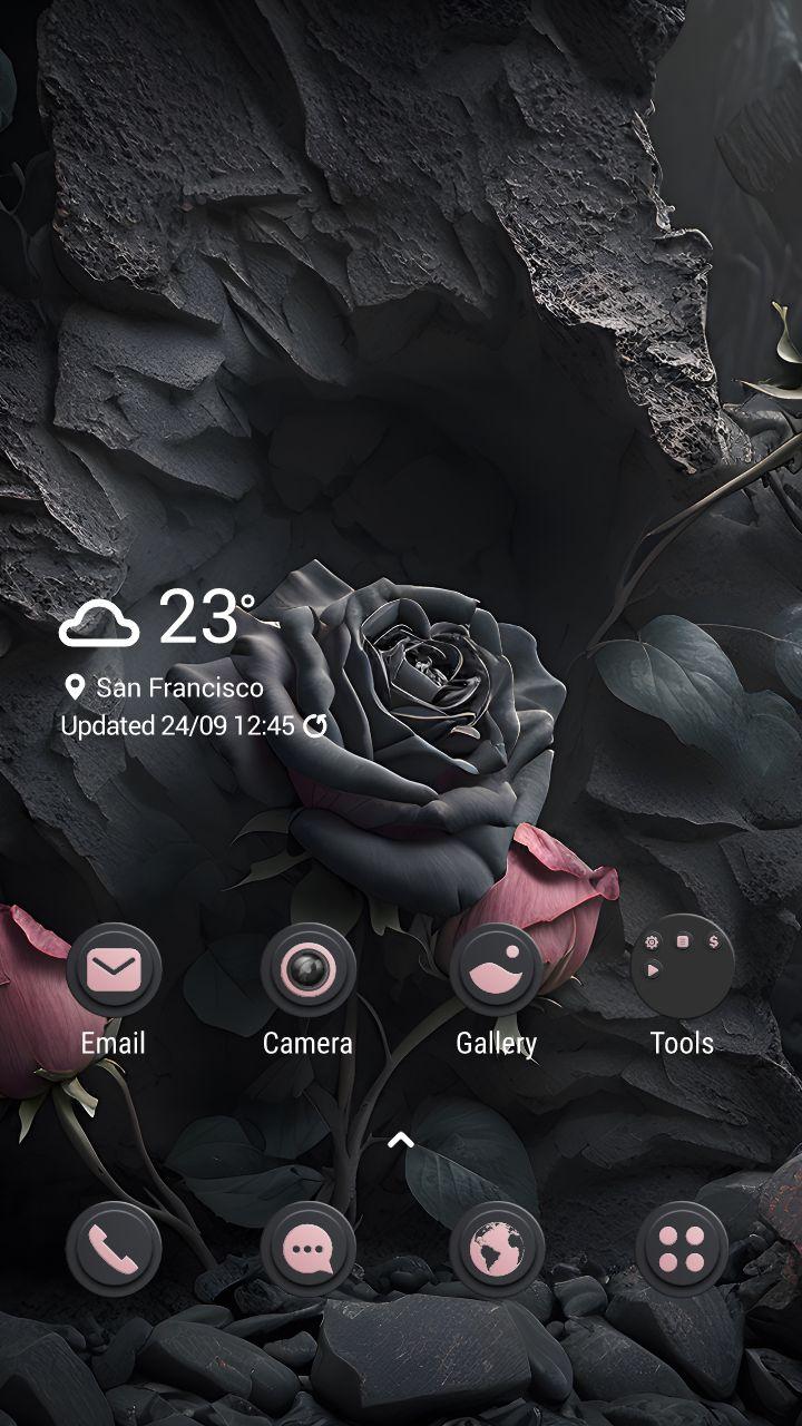 Steinrose
