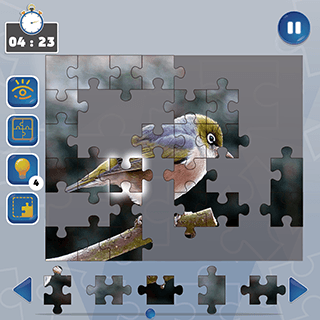 Jigsaw Puzzle Fever