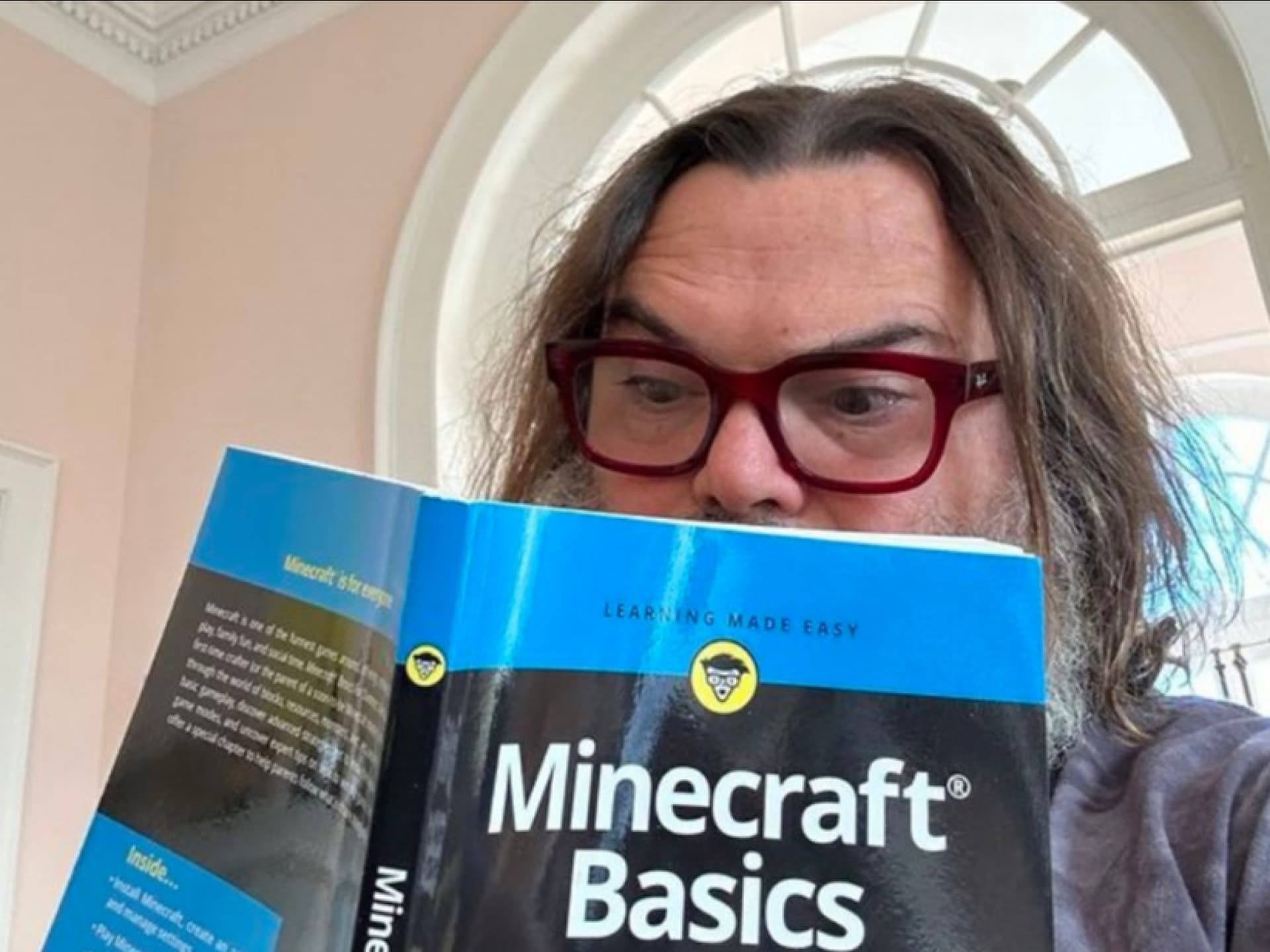Jack Black: Rolle in 'Minecraft'