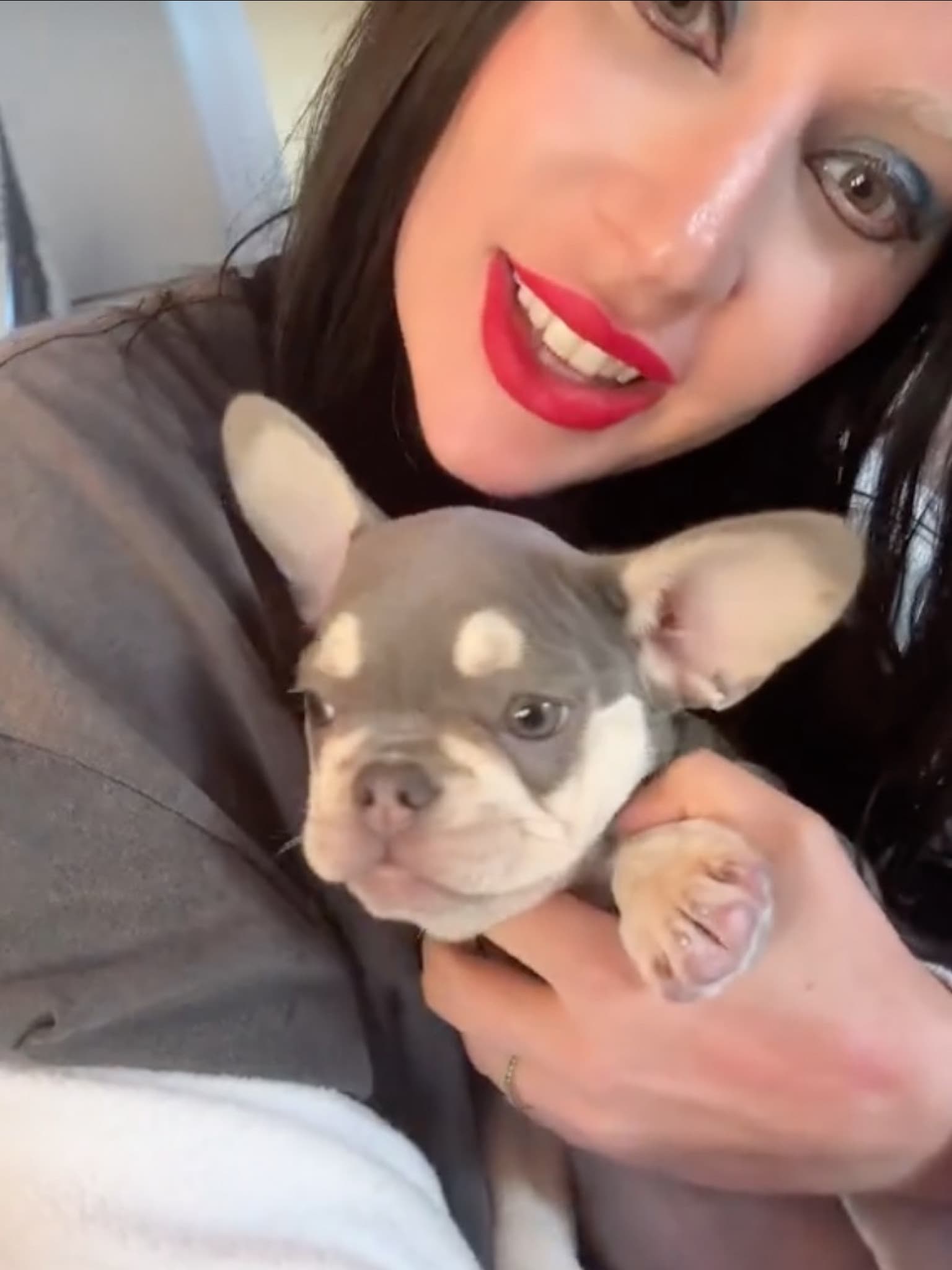 Lady Gaga hat sich drei Jahre nach der Entführung ihrer Hunde einen neuen Welpen gekauft