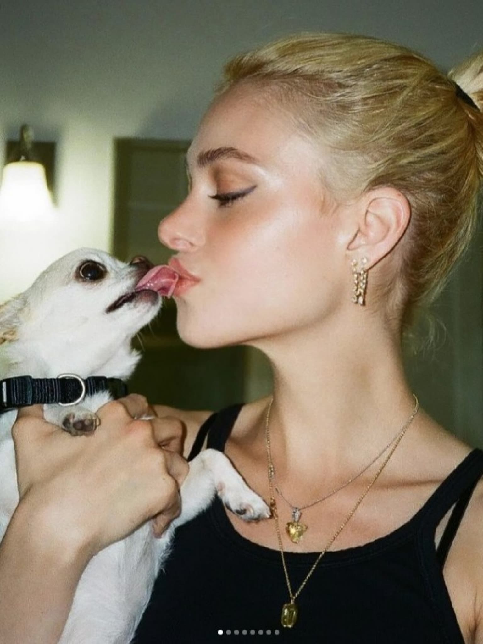 Nicola Peltz Beckham verklagt Hunde-Spa wegen ,absichtlicher und böswilliger Misshandlung' ihres Chihuahuas Nala