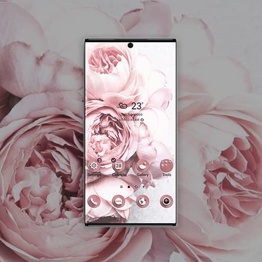 Zartrosa Pfingstrosen