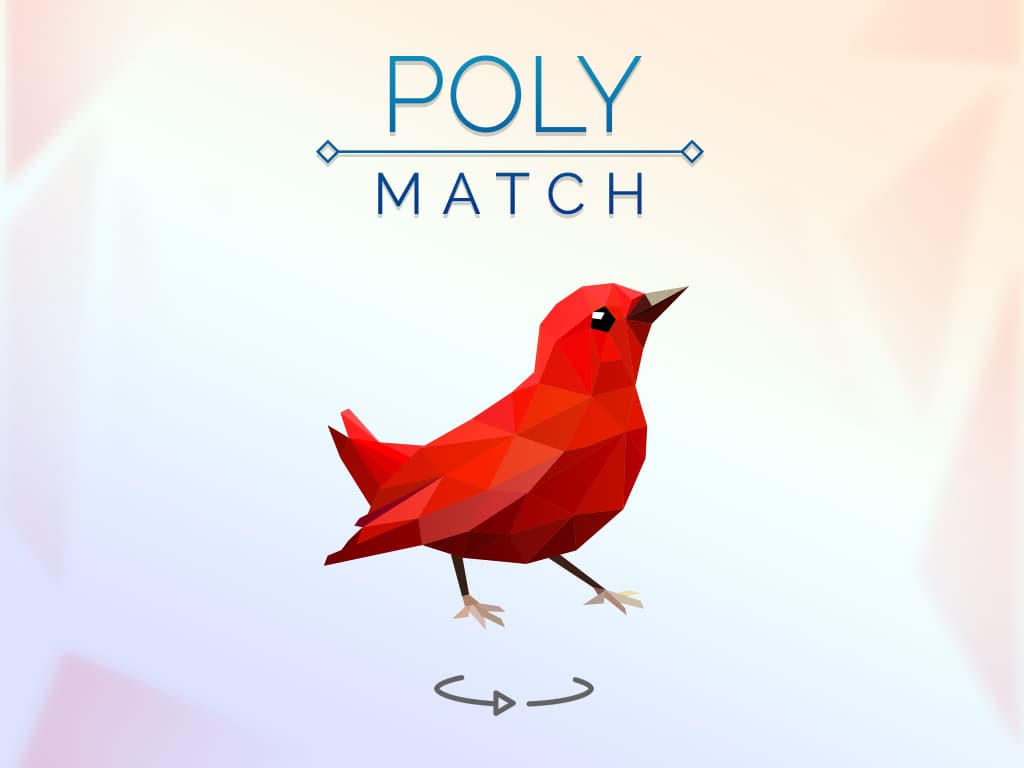 Poly Match