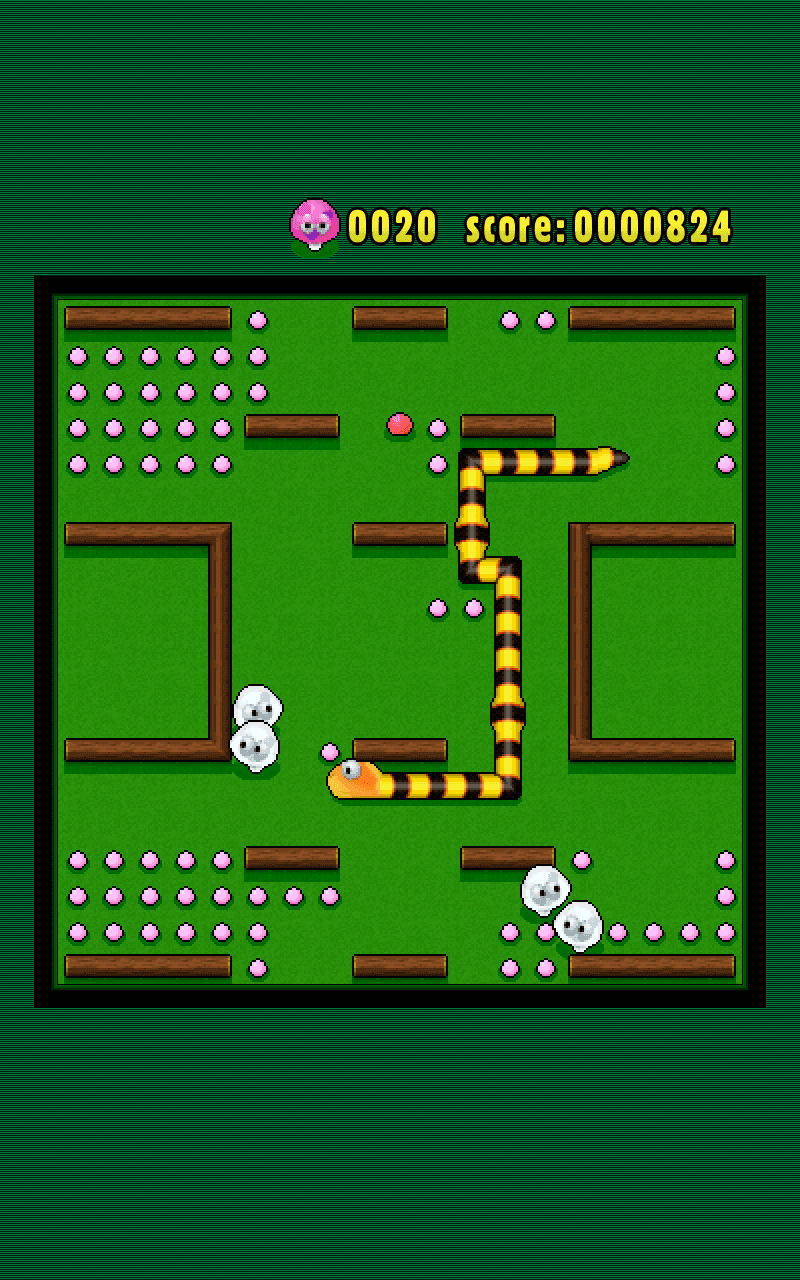4in1 Ultimate Snake Collection