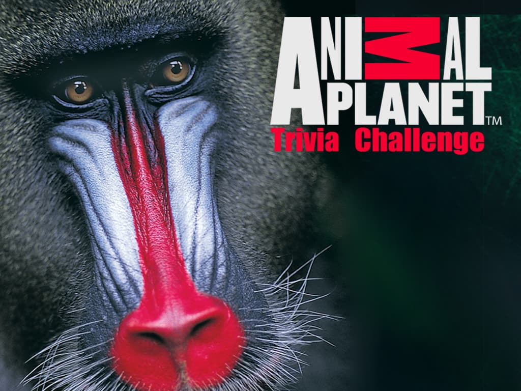 Animal Planet Trivia Challenge