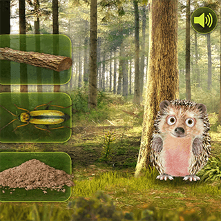 Ranger Luke - Rosemary Forest