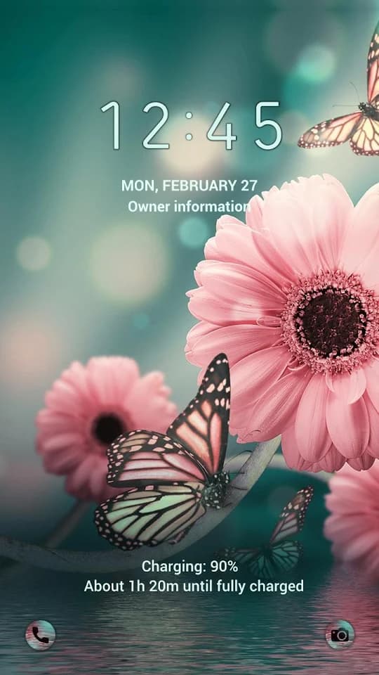 Schönes Gerbera-Thema