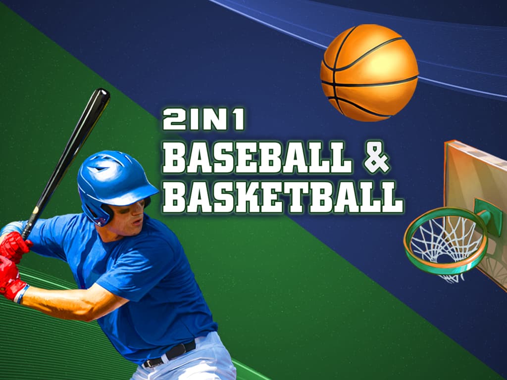 2 in 1 Baseball and Basketball