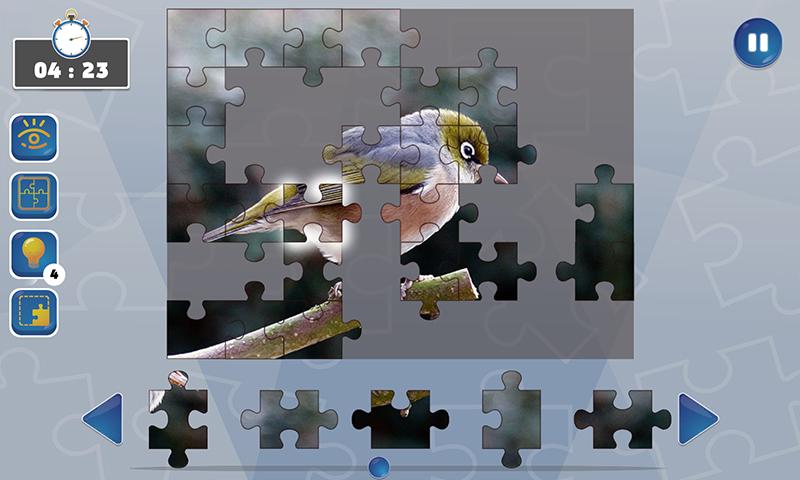 Jigsaw Puzzle Fever