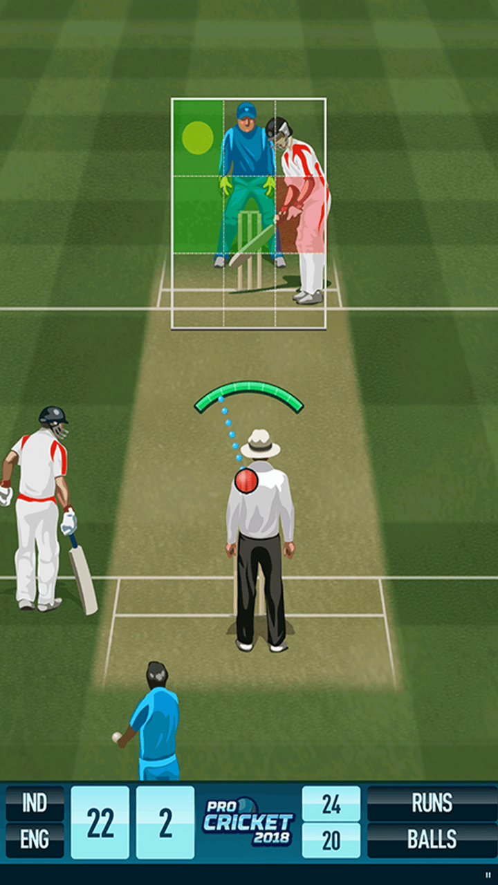 Pro Cricket 2018
