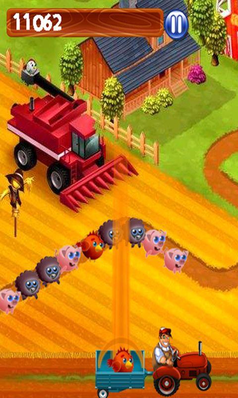 Chucky's Farm