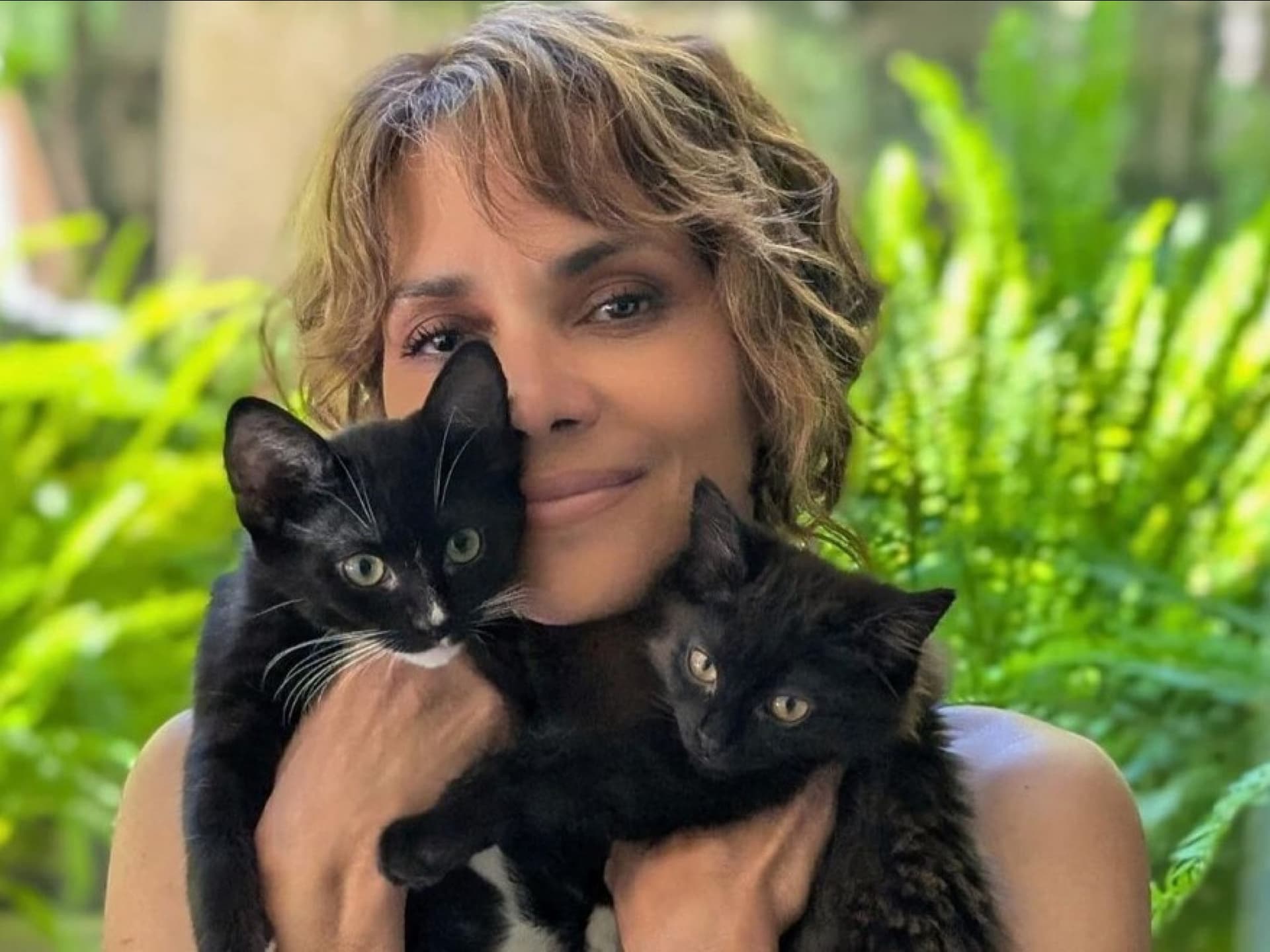 Halle Berry: Fotoshooting mit Haut und (Katzen-)Haaren