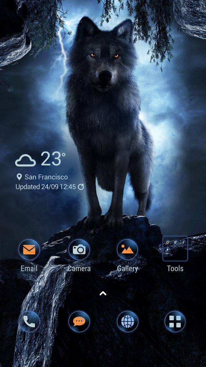 Wolf Im Dunkeln