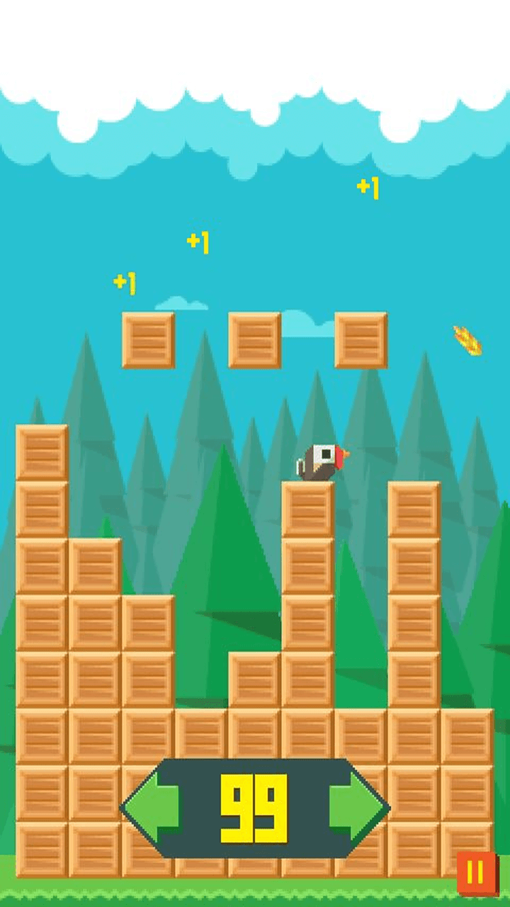 Birdy Run