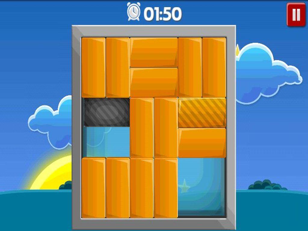 Brain Puzzle