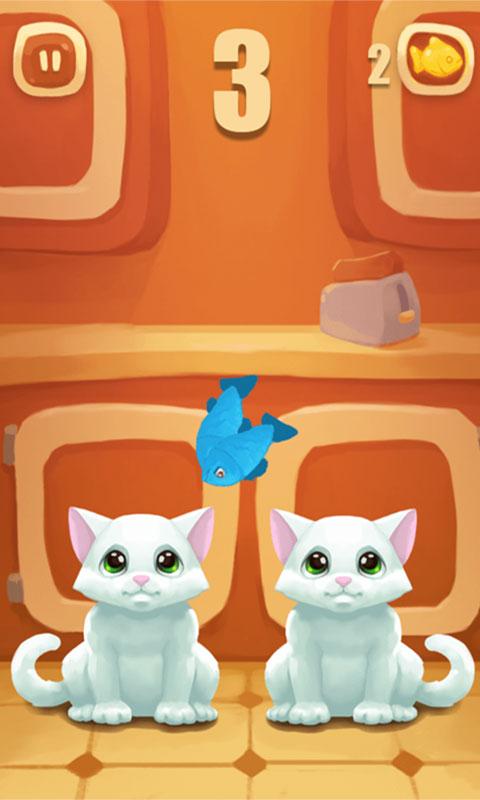 Nom Nom Kittys