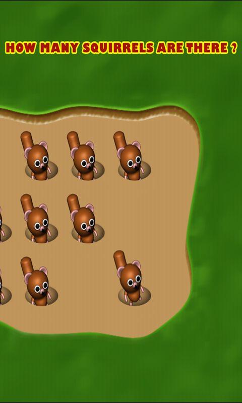 Count the Squirrels