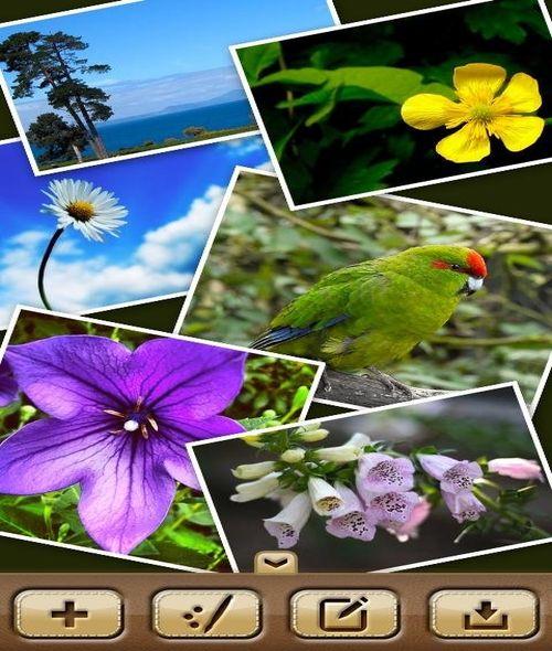 Collage Creator