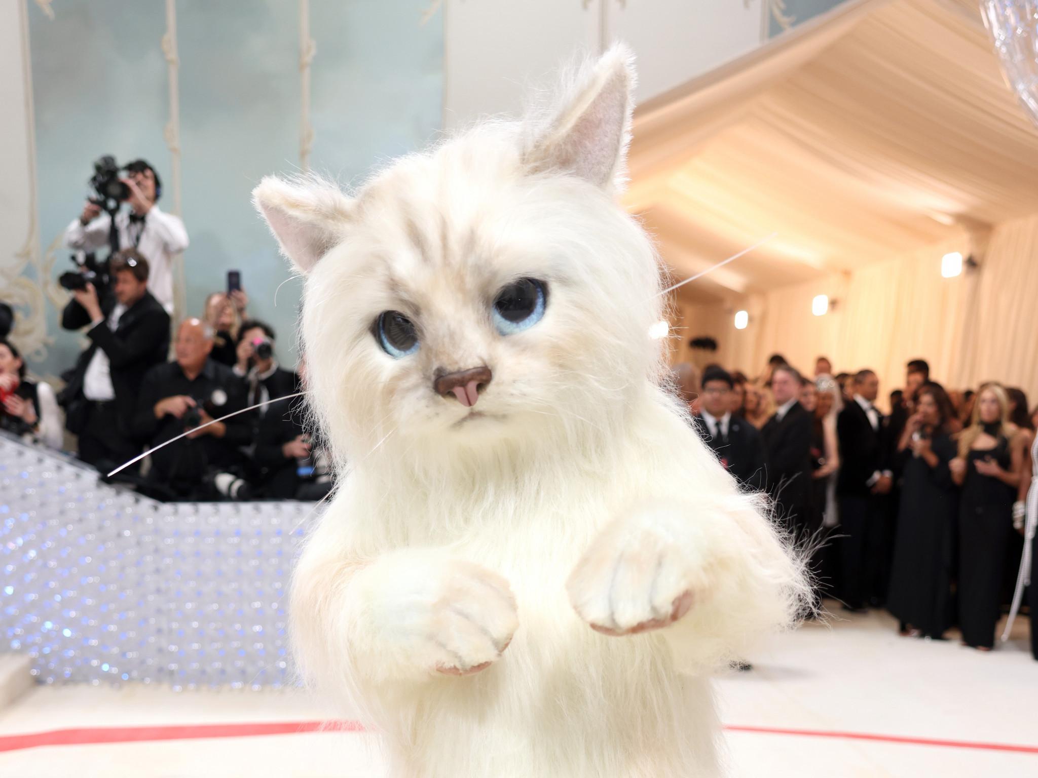 Jared Leto verrät, warum er nach seinem legendären Auftritt als Karl Lagerfelds Katze nicht an der Met Gala 2024 teilnehmen wird