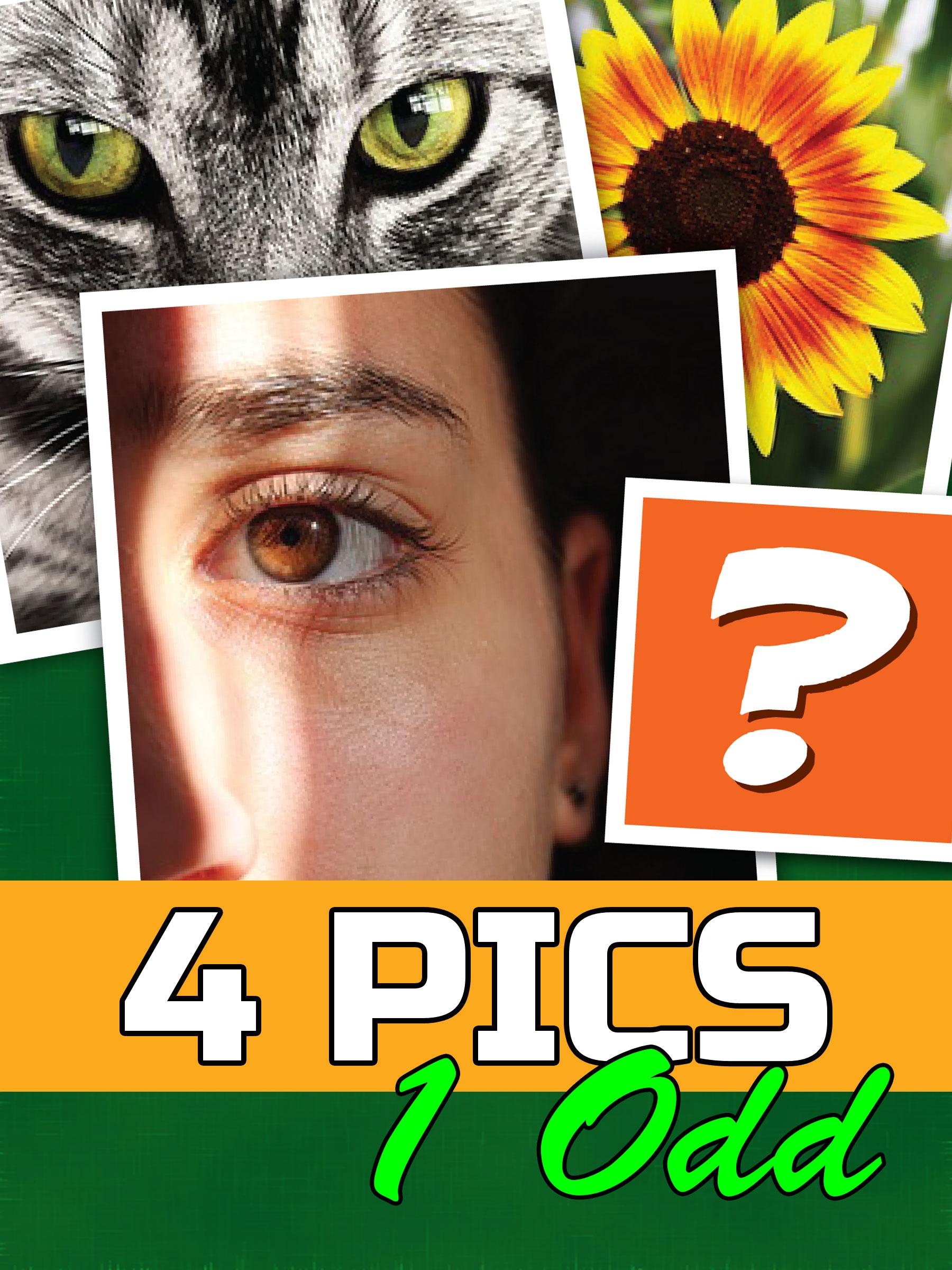 4 Bilder 1 falsch