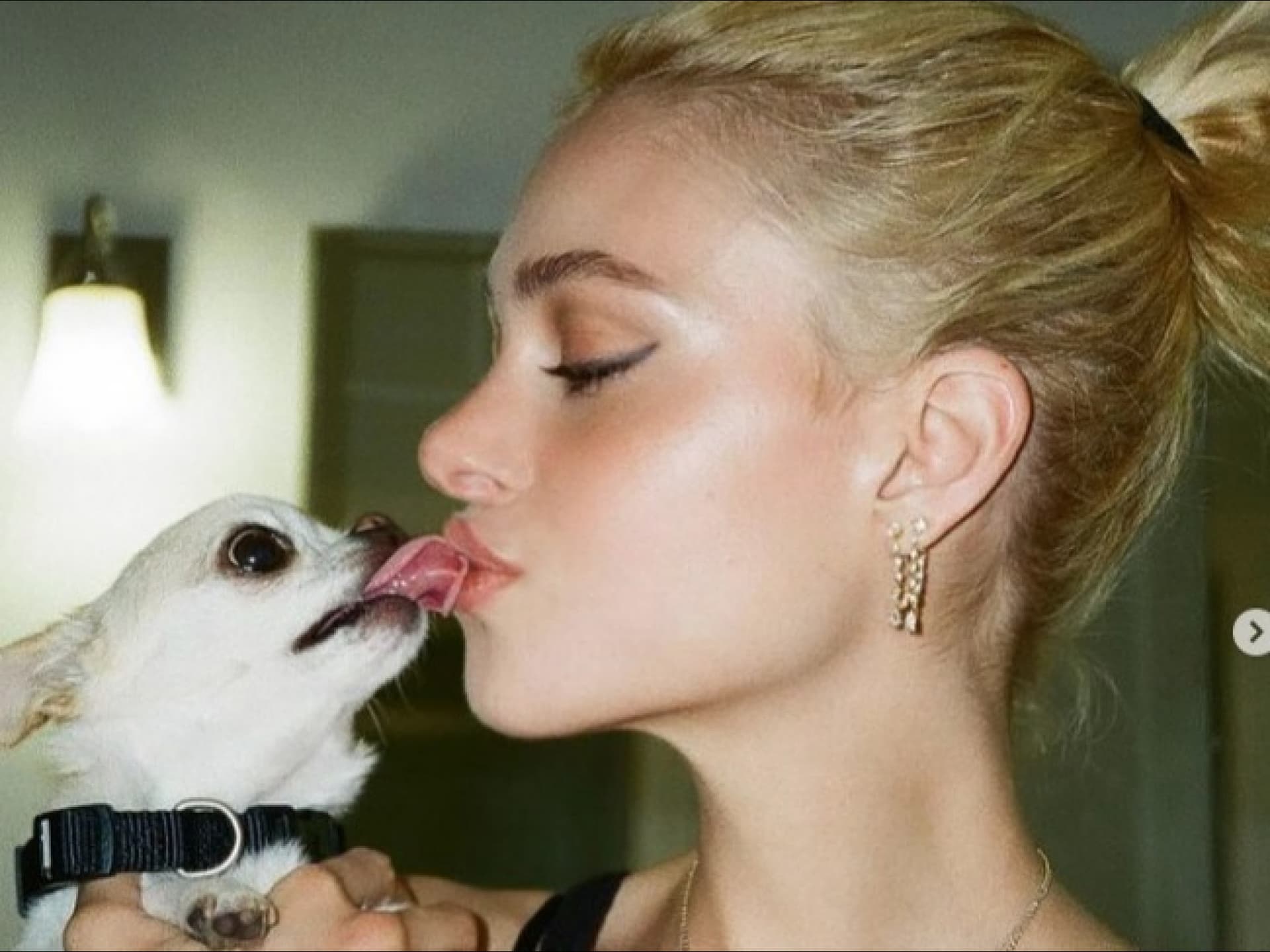 Nicola Peltz Beckham verklagt Hunde-Spa wegen ,absichtlicher und böswilliger Misshandlung' ihres Chihuahuas...