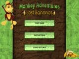 Monkey Adventure