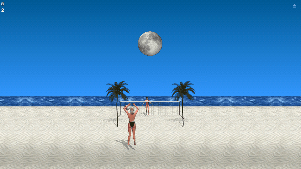 Beach Volleyball