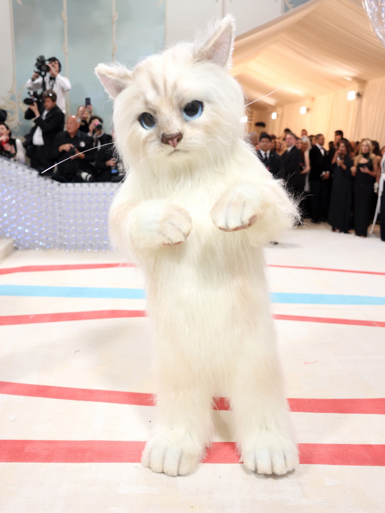 Jared Leto verrät, warum er nach seinem legendären Auftritt als Karl Lagerfelds Katze nicht an der Met Gala 2024 teilnehmen wird