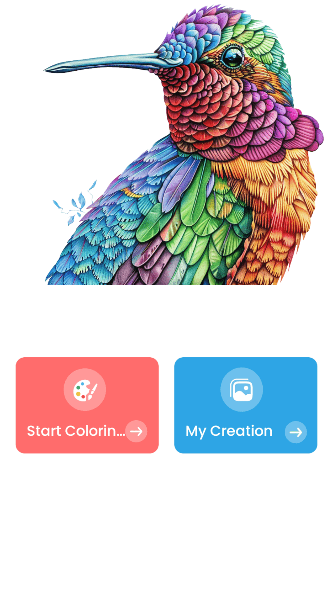 Malbuch für Erwachsene