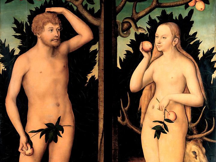 Vielleicht sind wir alle polygam: Ein Playboy-Gespräch mit David Barash