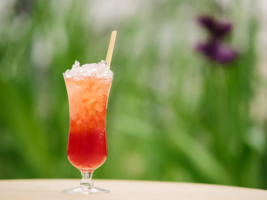 David Wondrichs Singapore Sling