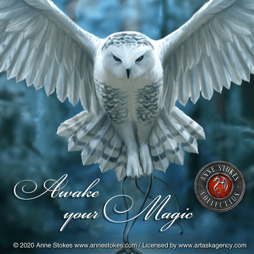 Anne Stokes: Awake Your Magic