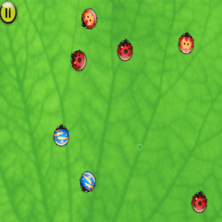 Splat De Bugs