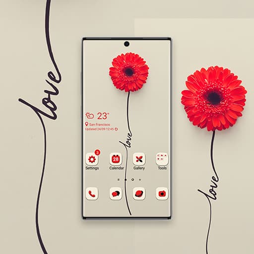 Gänseblümchen Liebe