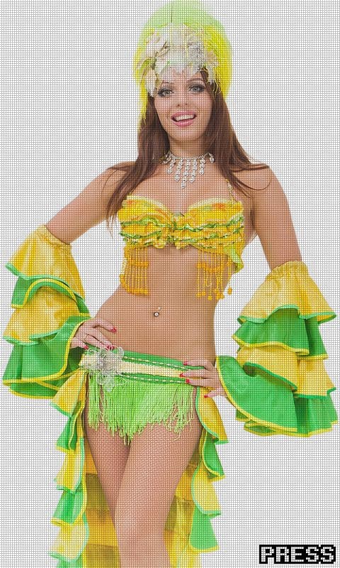 Carnaval Fruit Machine