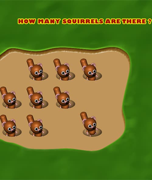 Count the Squirrels