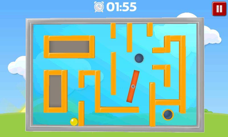 Brain Puzzle