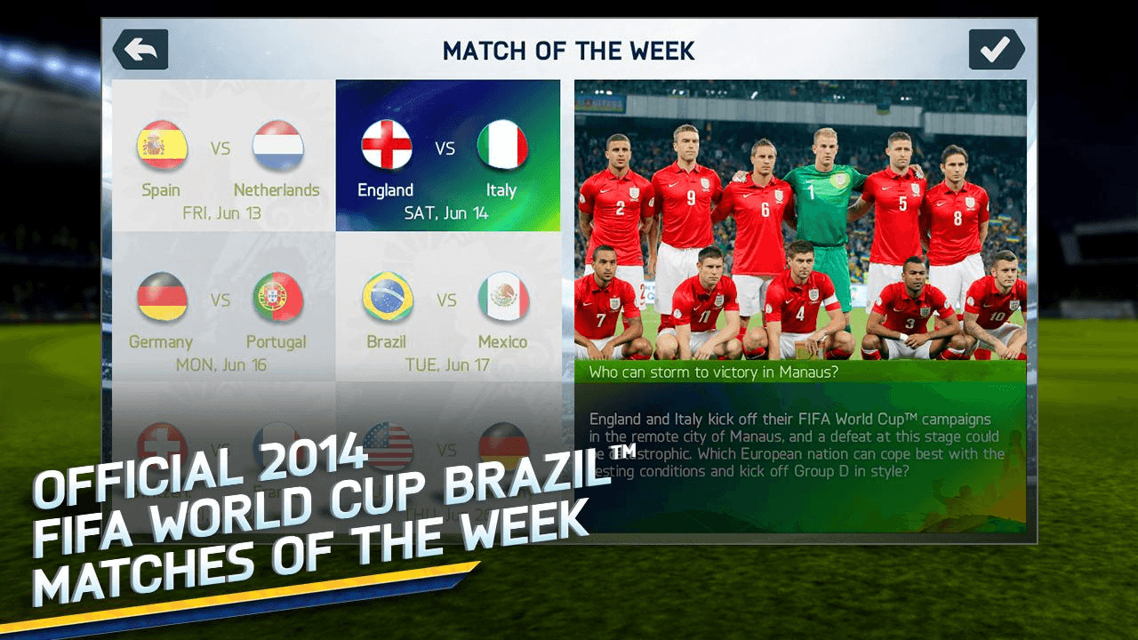 FIFA Fussball-Weltmeisterschaft 2014™