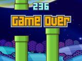 Flapping Bird