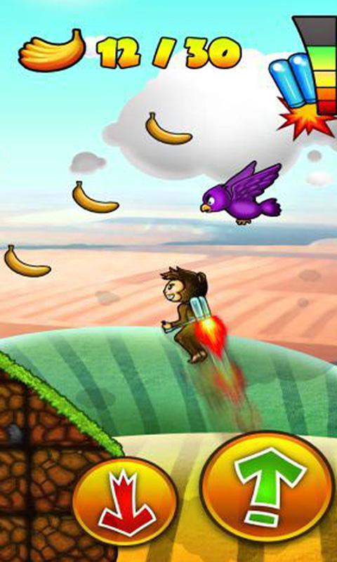 Aero Monkey