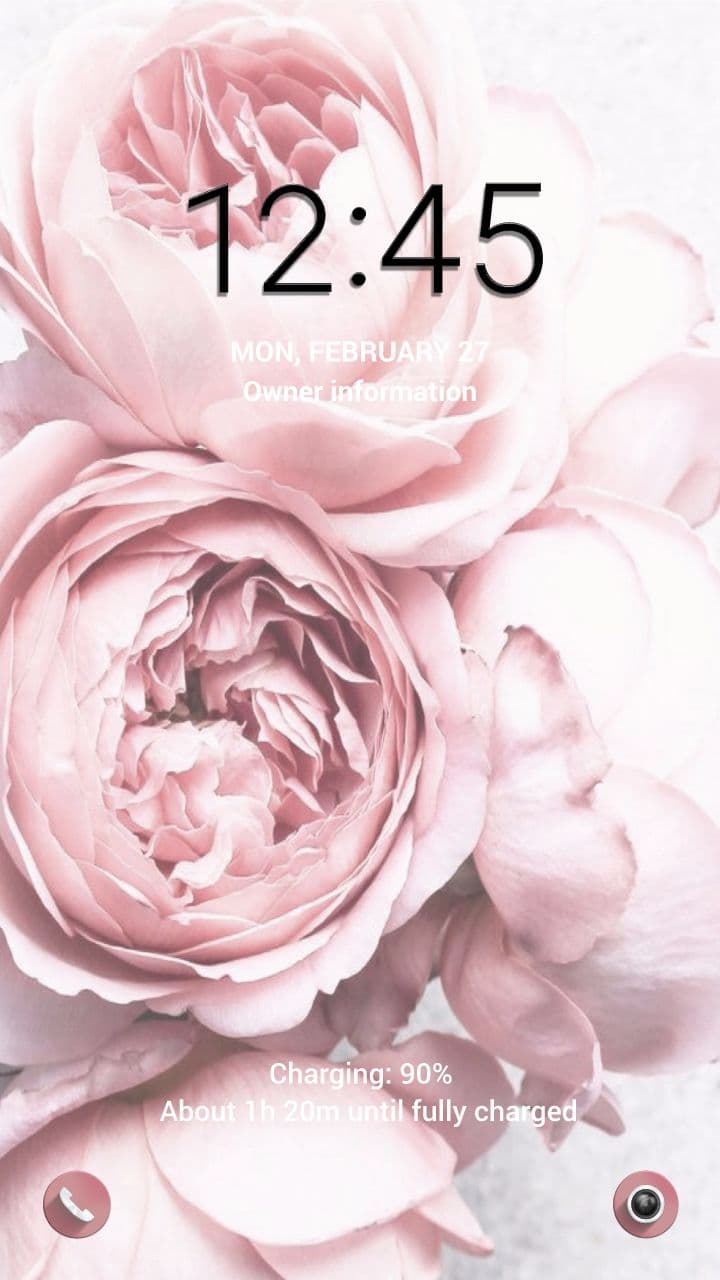 Zartrosa Pfingstrosen