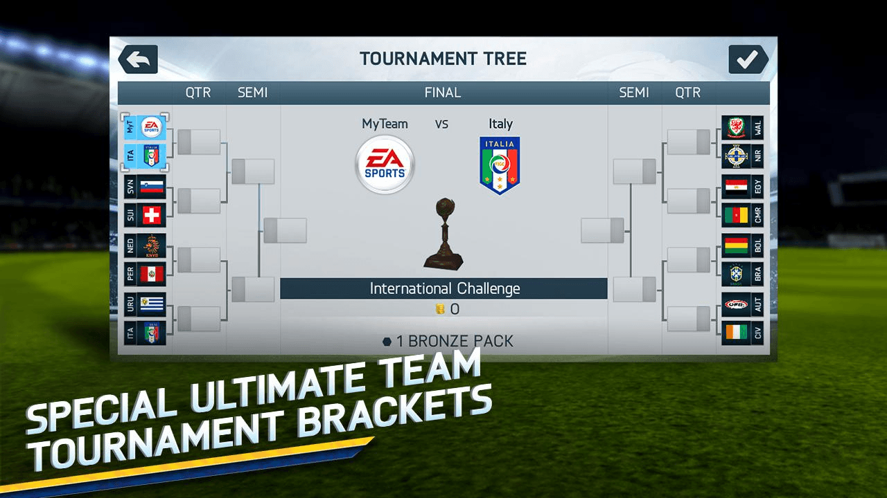 FIFA Fussball-Weltmeisterschaft 2014™