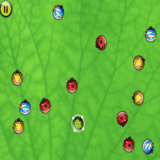 Splat De Bugs