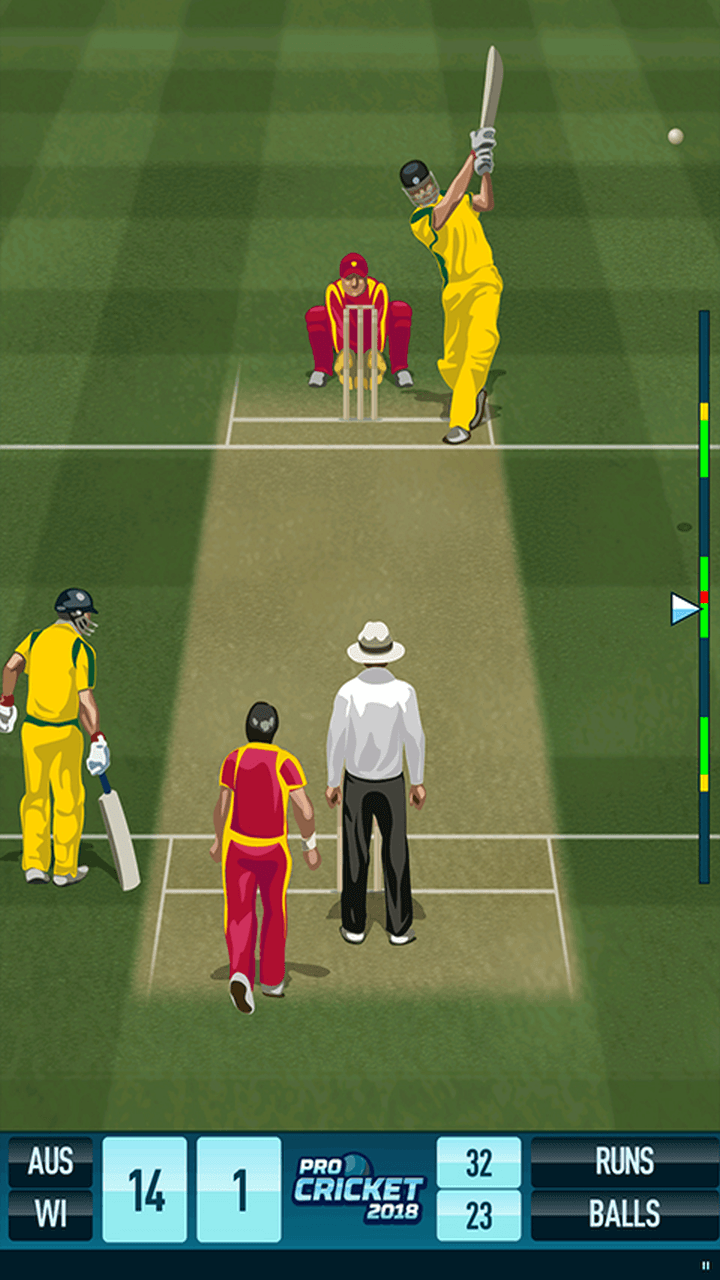 Pro Cricket 2018