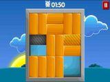 Brain Puzzle