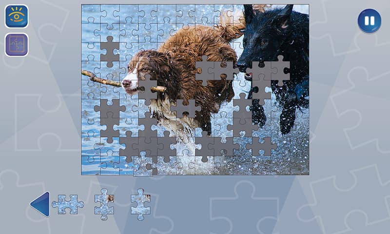 Jigsaw Puzzle Fever