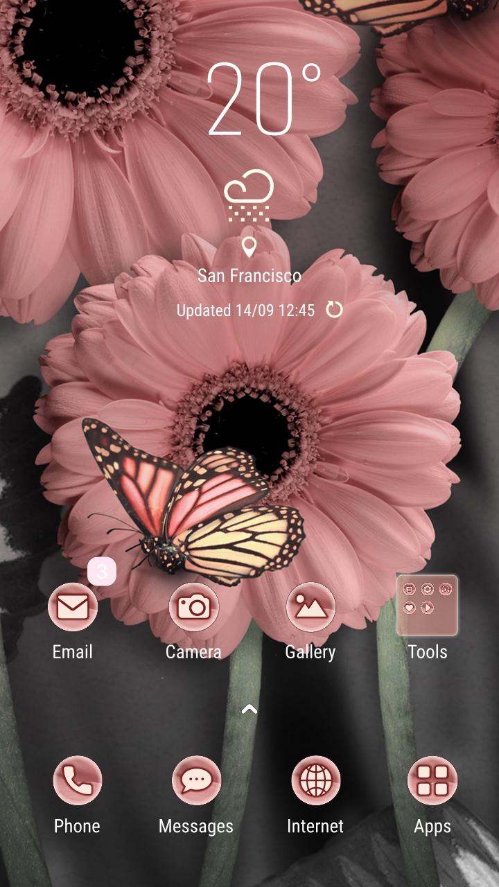 Rosa Gerbera