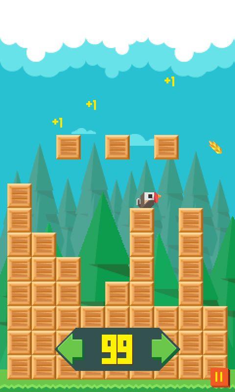 Birdy Run
