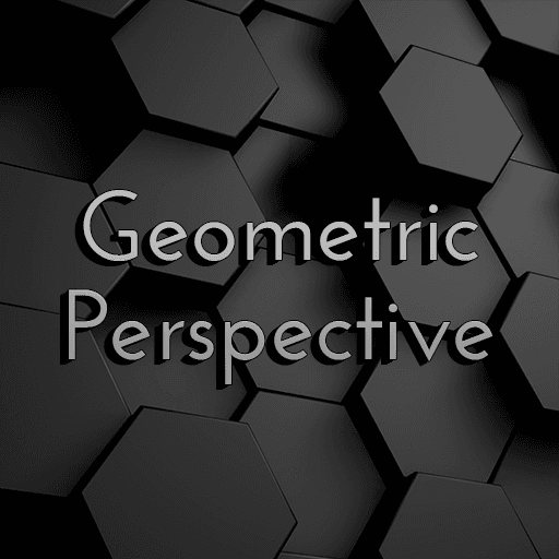 Geometric Perspective