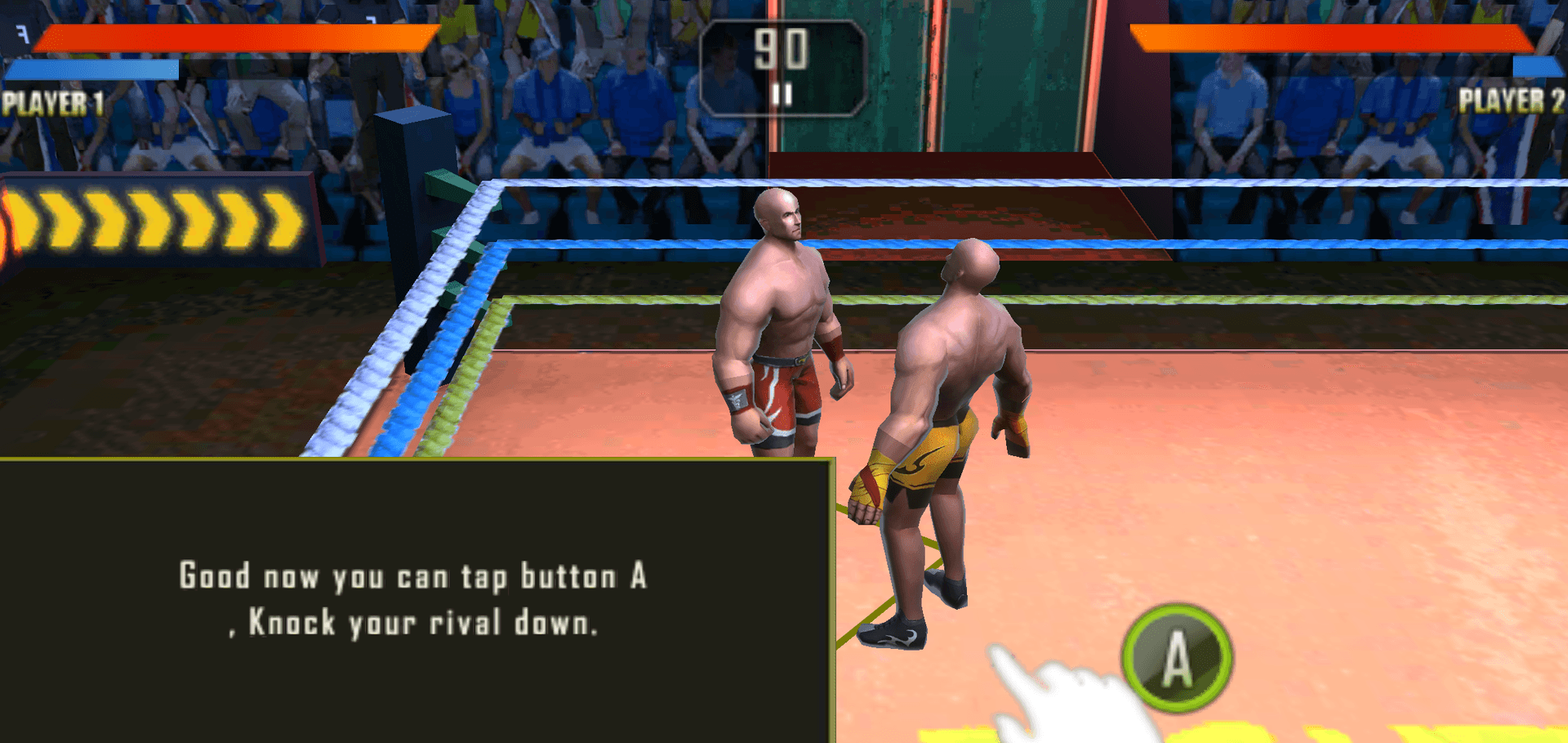 Wrestling Welttournee